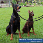 Pawaboo imported dog behavior control halter collar side view