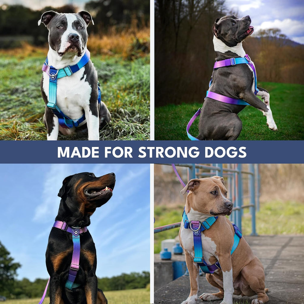 Ergonomic dog walking harness with integrated grab handle for close control