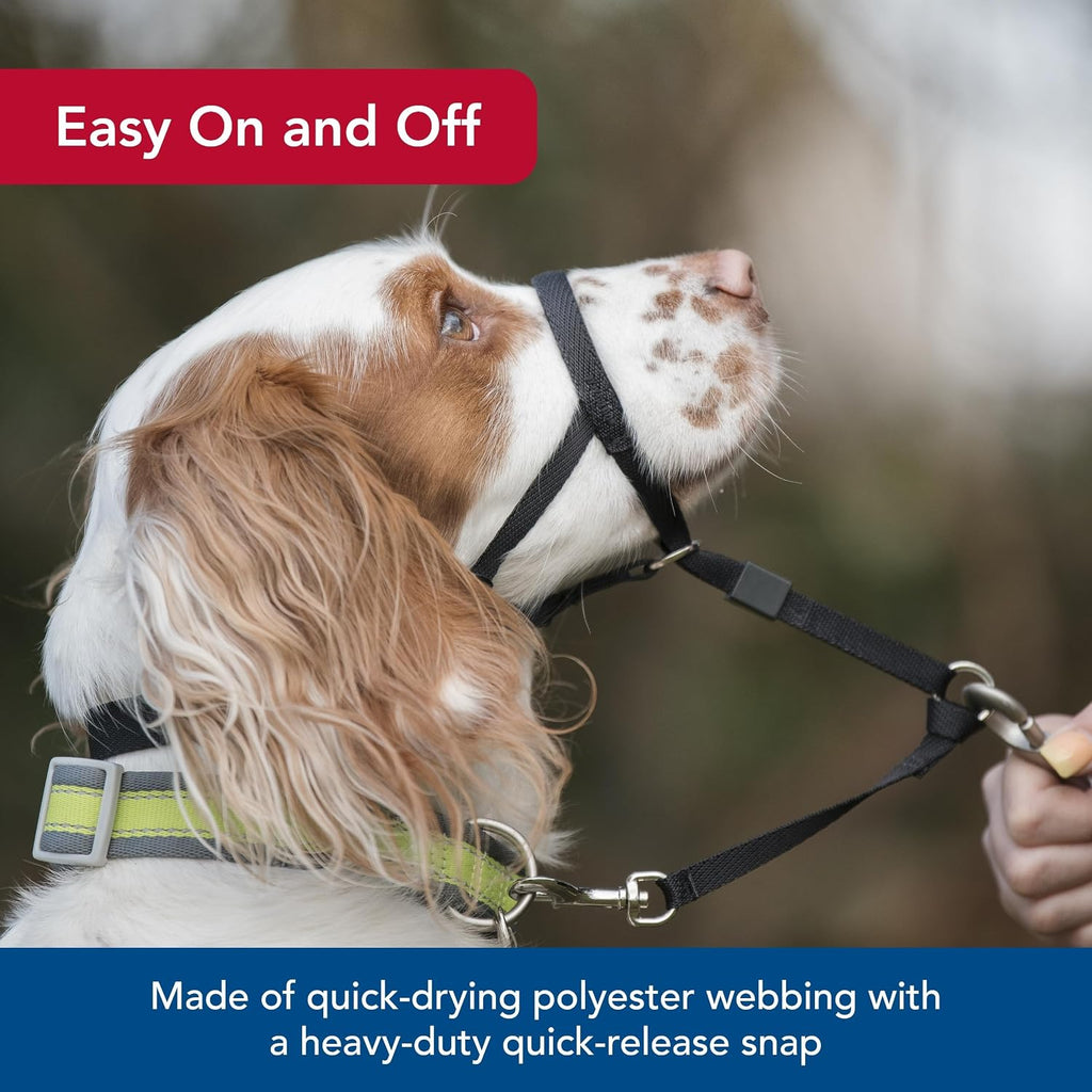 Premium USA imported dog training halter with safety loop attachment close up
