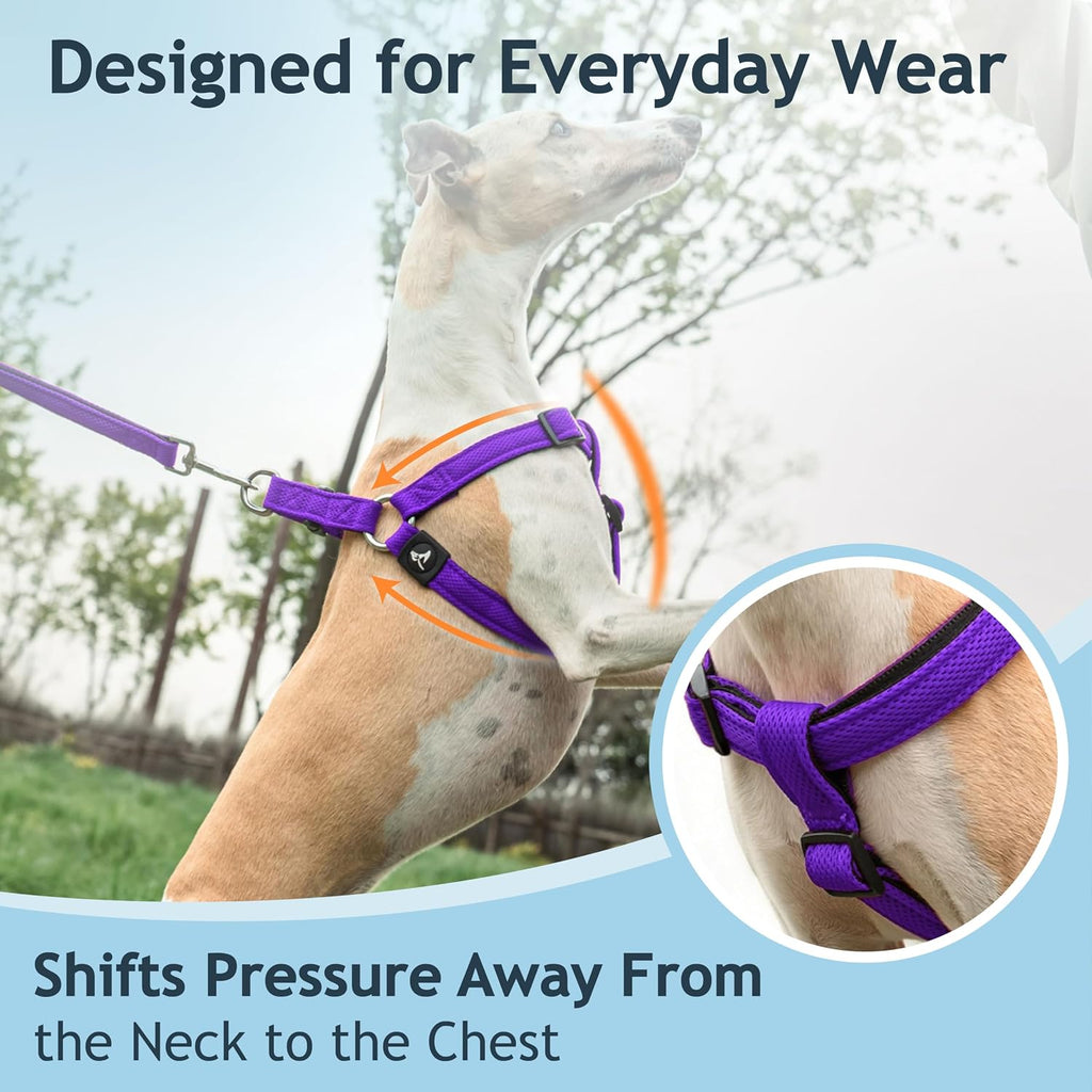 Adjustable tri-glide straps on Kruz Pet harness