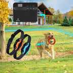Diagram showing underground and aboveground boundary wire installation layout