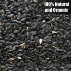 Close up of high-energy black oil sunflower seeds for birds
