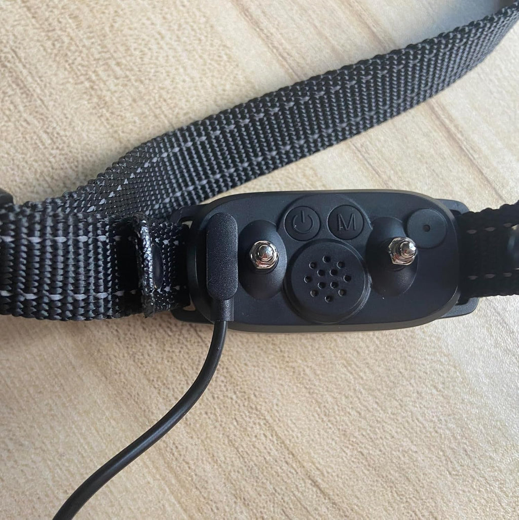 Haourlife USB charging cord connected to a smart dog training collar