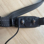 Haourlife USB charging cord connected to a smart dog training collar