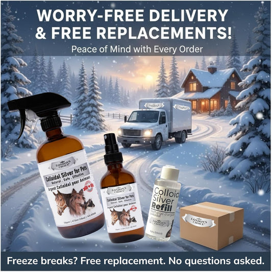 London's Choice 10 ppm pet silver wound spray application on a dog's irritated skin allergy spot