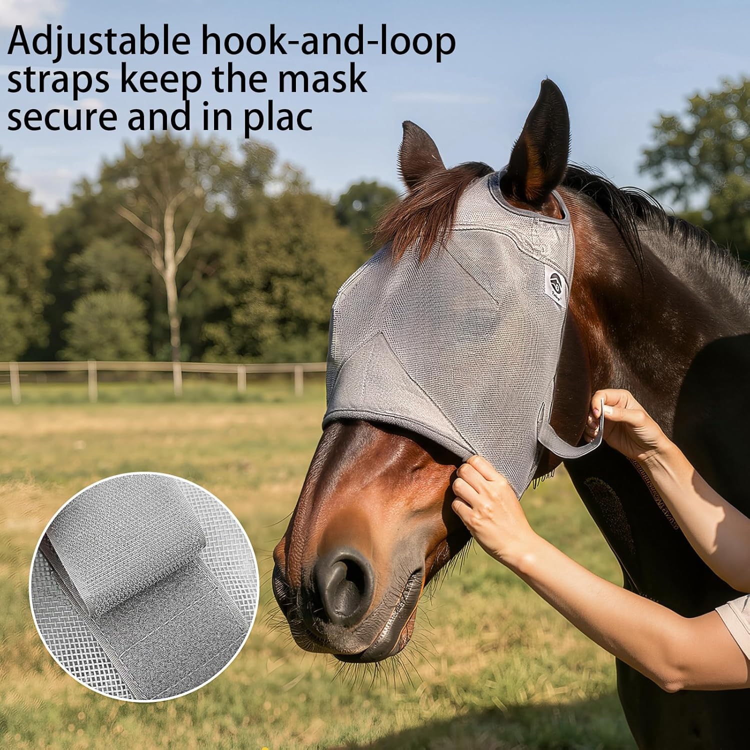 High quality fabric texture of Raelitego protective equine mask