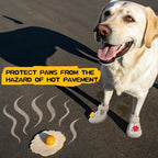 Dog wearing breathable summer pet boots outdoors