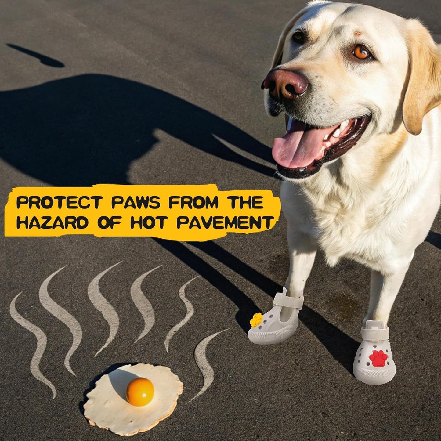 Dog wearing breathable summer pet boots outdoors