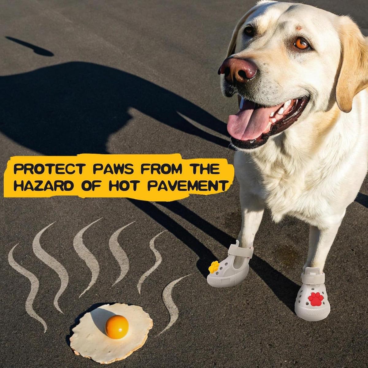 Dog wearing breathable summer pet boots outdoors