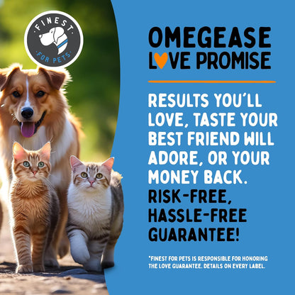 Omegease 1545mg Omega 3 liquid supplement bottle highlighting skin coat and itching relief benefits