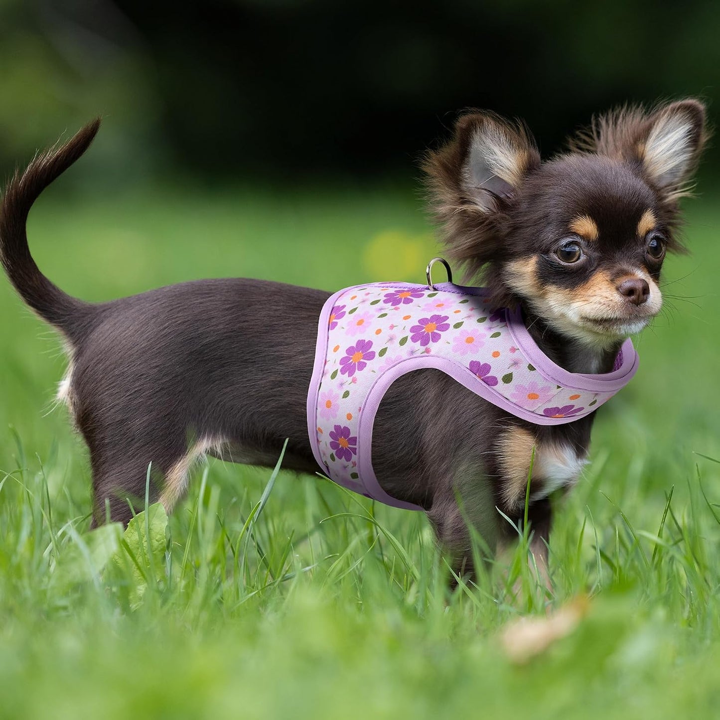 Secure neck and chest closure system on floral vest harness