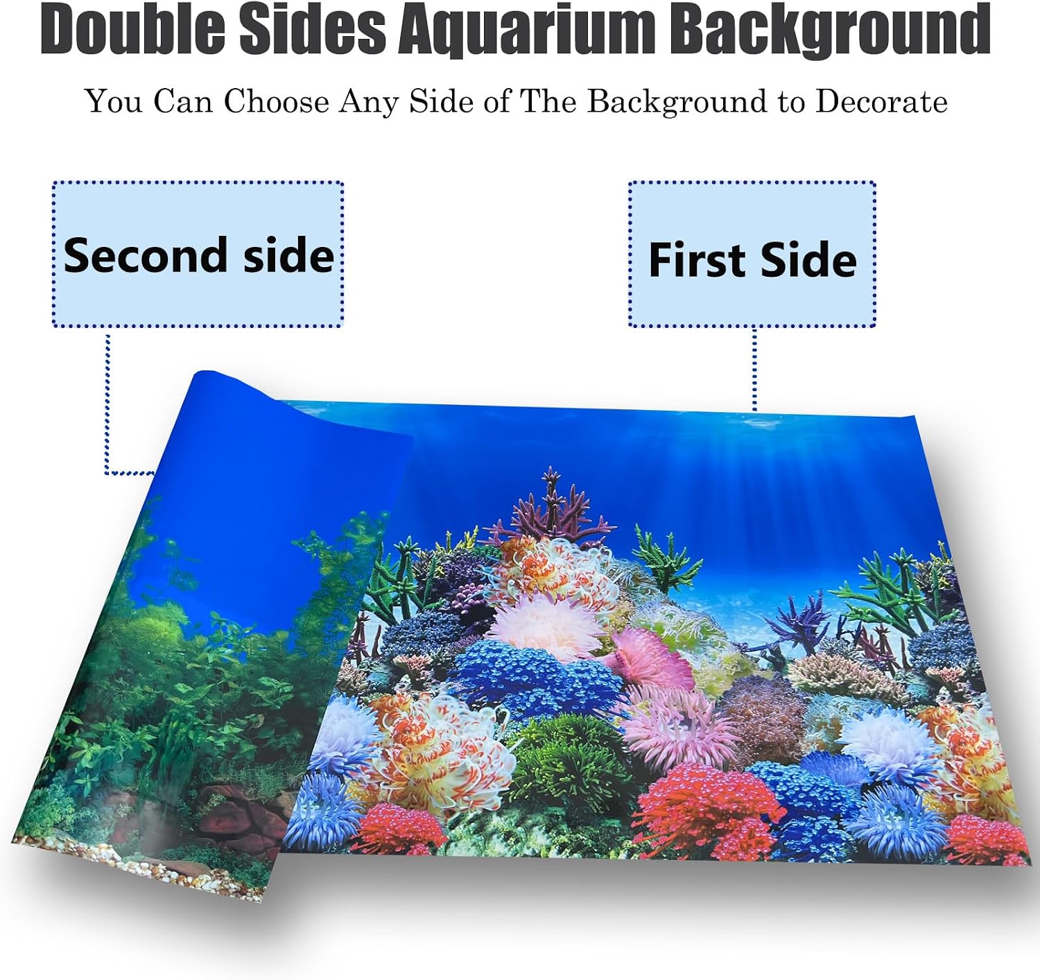 XCNO marine habitat backdrop for fish tanks highlighting vivid blue and orange colors