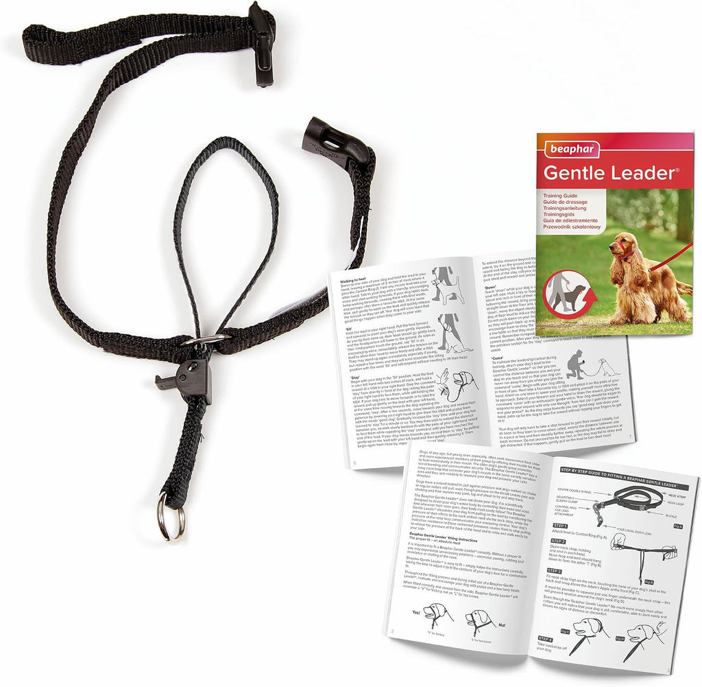 Side view of Beaphar Gentle Leader head collar fitting on a small dog muzzle