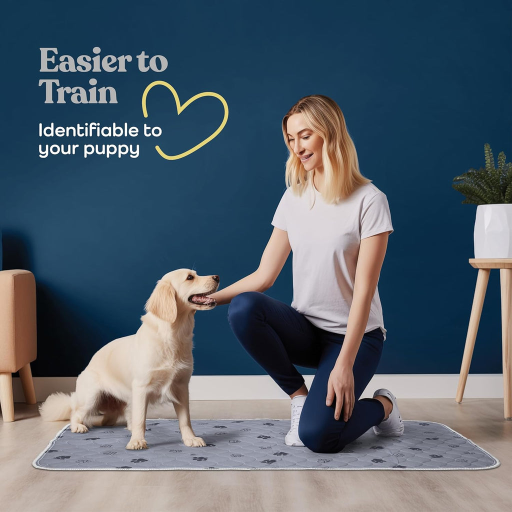 Pitpet puppy training pads gray paw print pattern