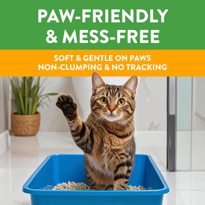 Feline Pine bag showing Arm and Hammer baking soda logo