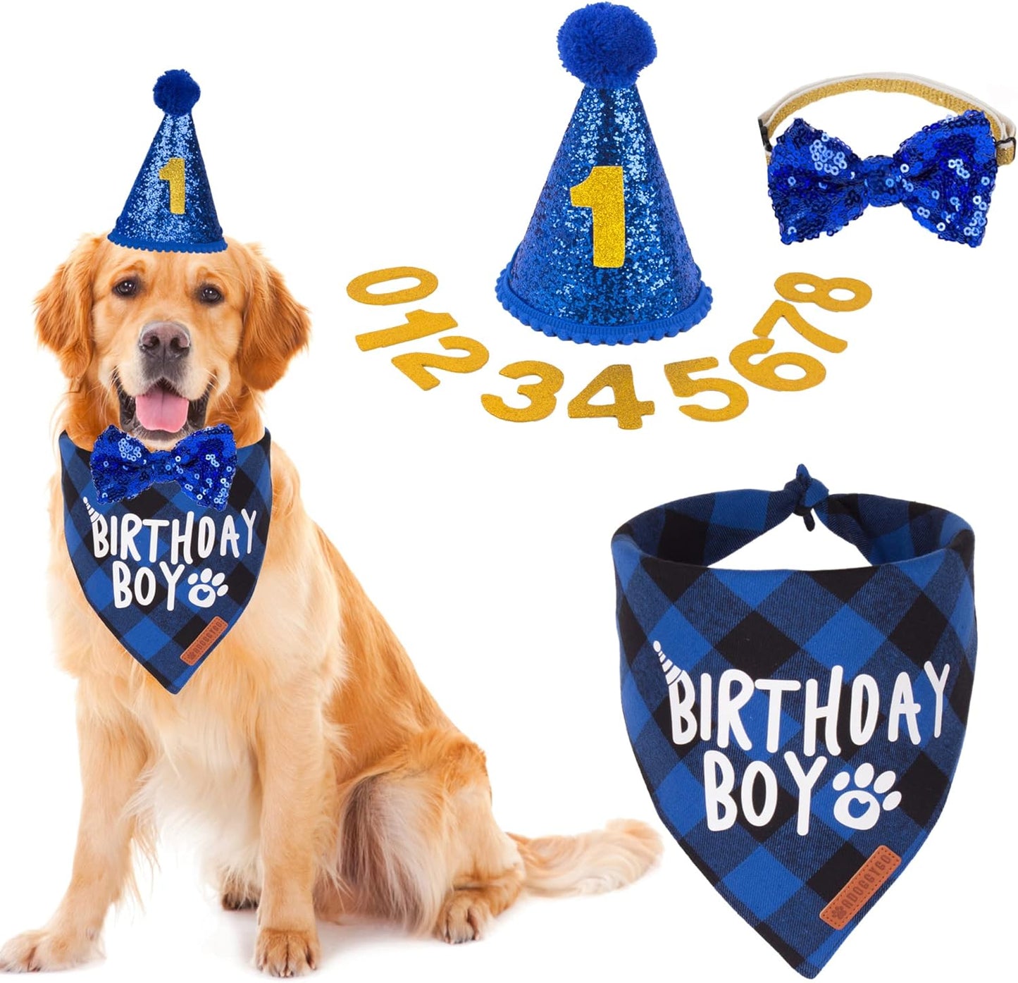 ADOGGYGO dog birthday party supplies set front view featuring blue plaid bandana and numbered hat.
