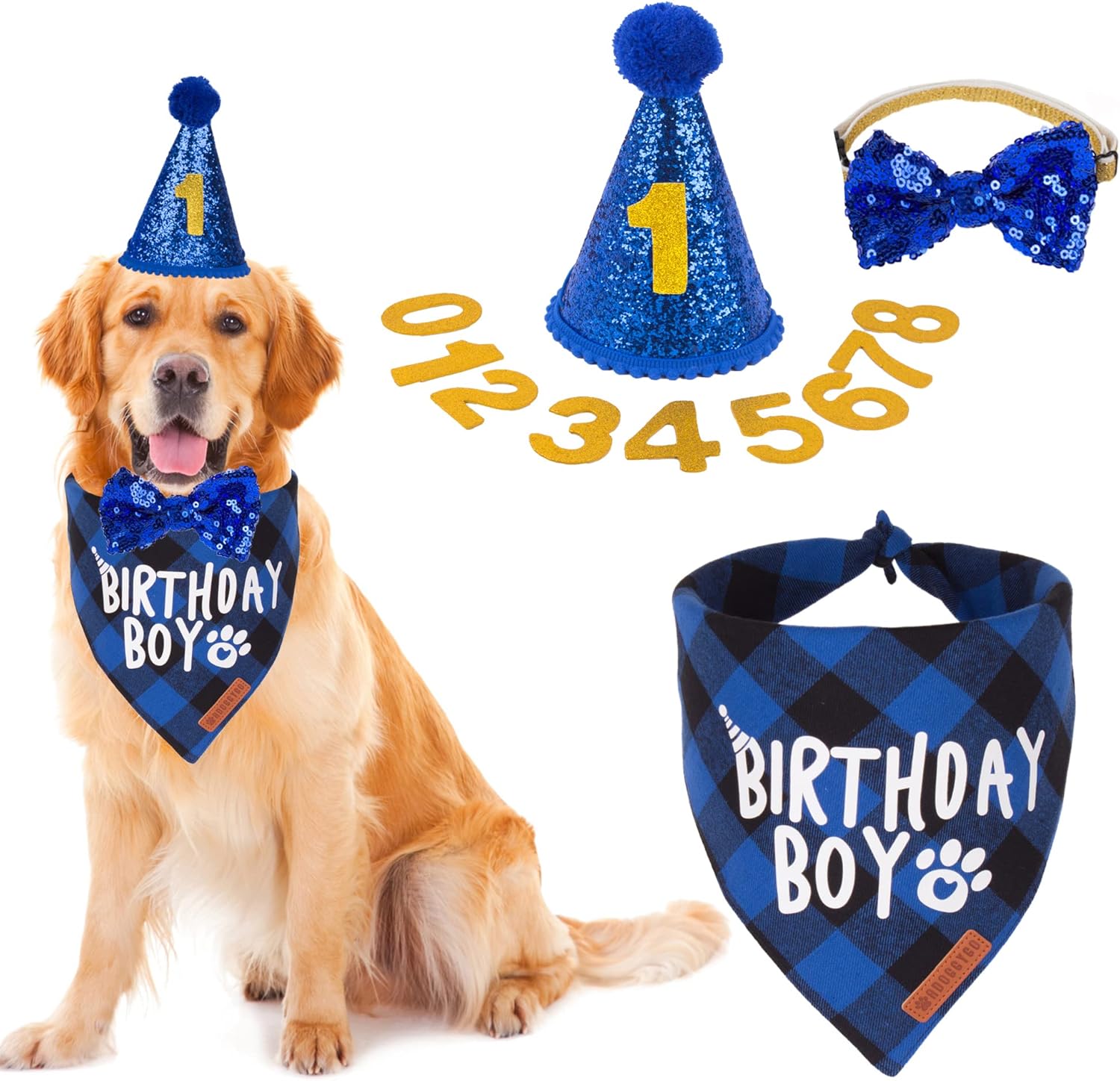 ADOGGYGO dog birthday party supplies set front view featuring blue plaid bandana and numbered hat.