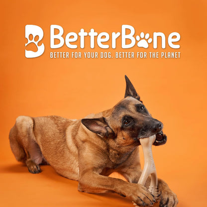 BetterBone dog chew toy for aggressive chewers texture detail