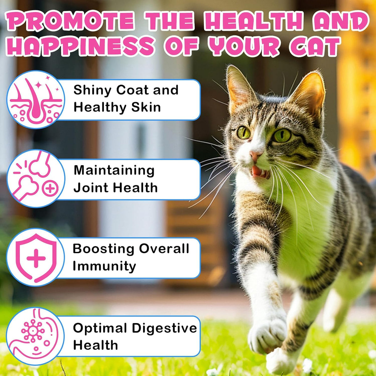 Back label of Vosifsdiy feline collagen drops displaying ingredients and usage directions