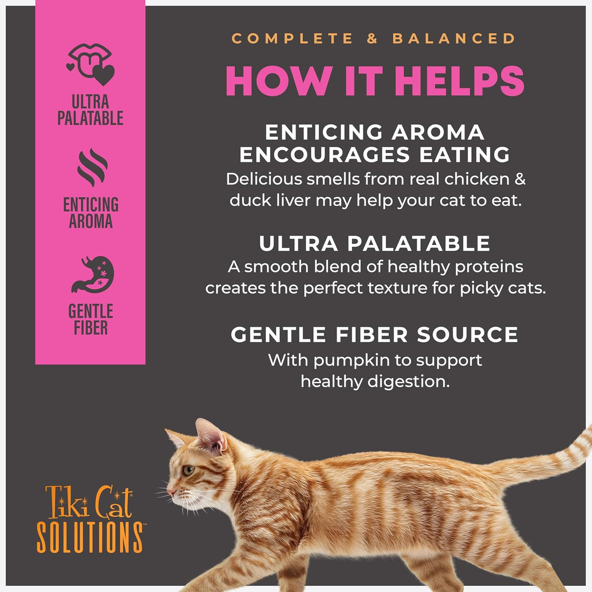 Side-by-side display of individual 2.4 ounce wet cat food pouches