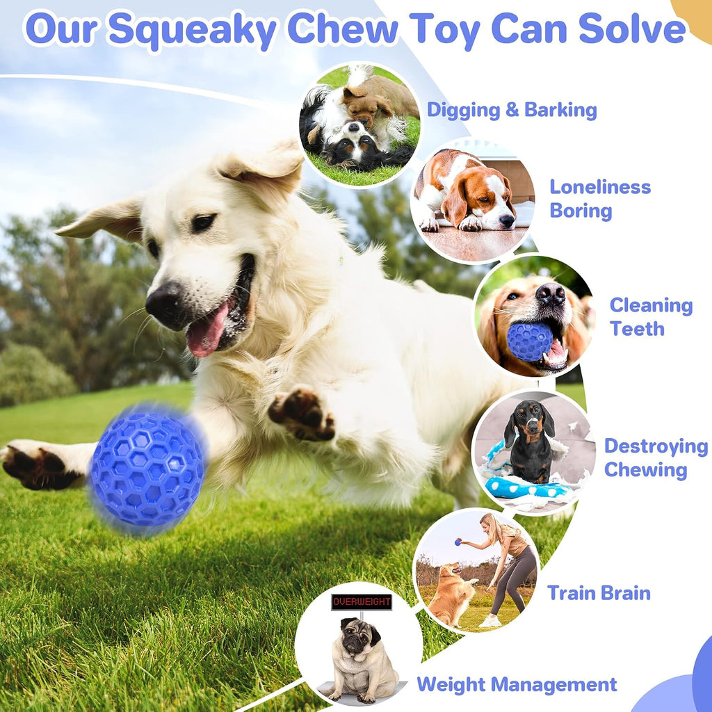 DISSKNIC heavy duty dog ball with built in squeaker for pet anxiety relief.