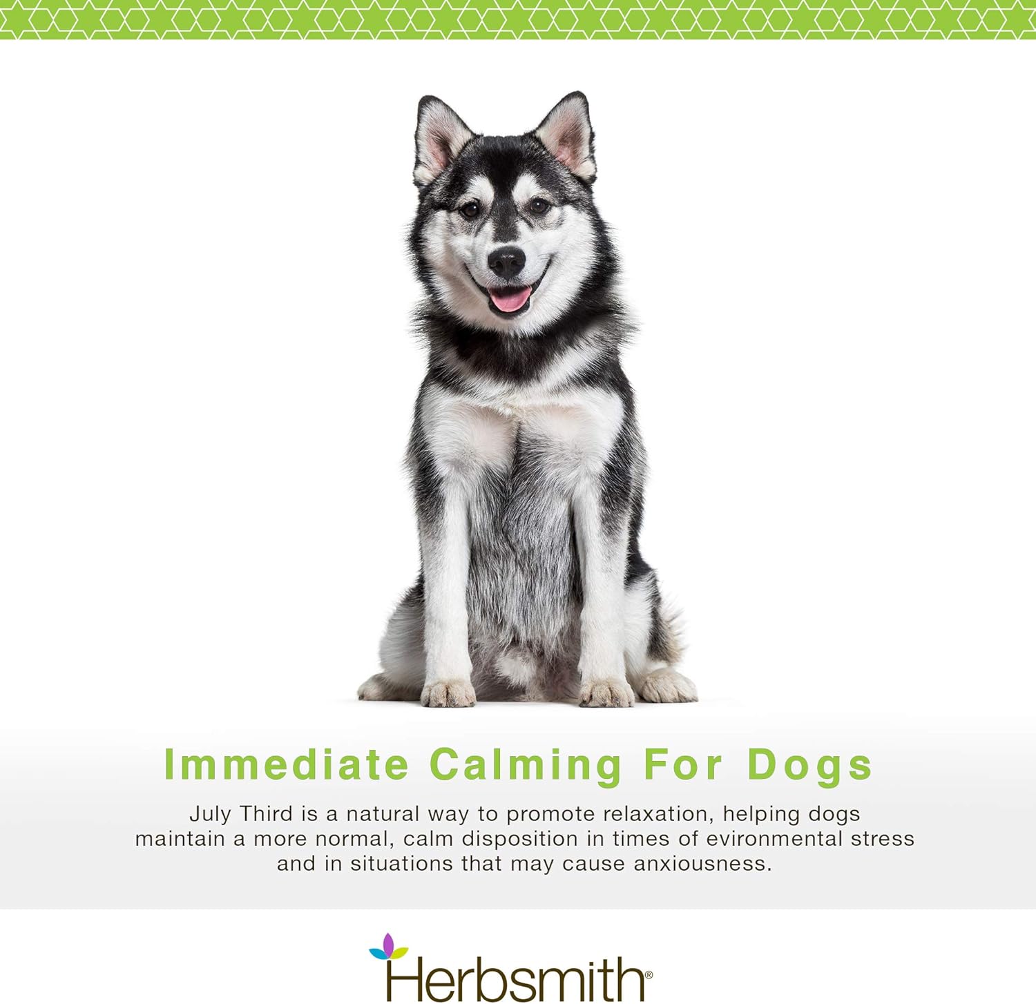 Herbsmith July Third natural herbal dog supplement large chews texture detail.