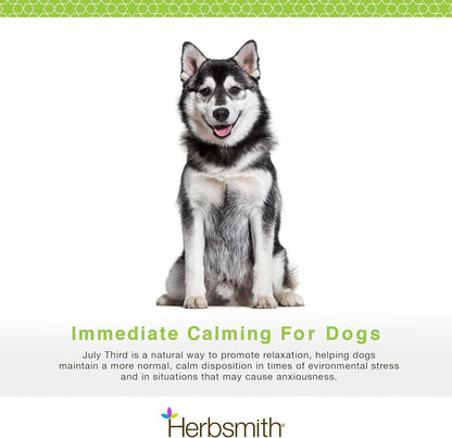 Herbsmith July Third natural herbal dog supplement large chews texture detail.