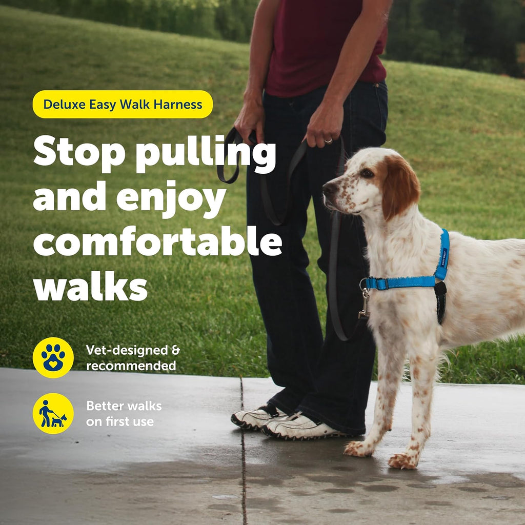PetSafe medium dog harness showing chest attachment loop