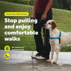 PetSafe medium dog harness showing chest attachment loop