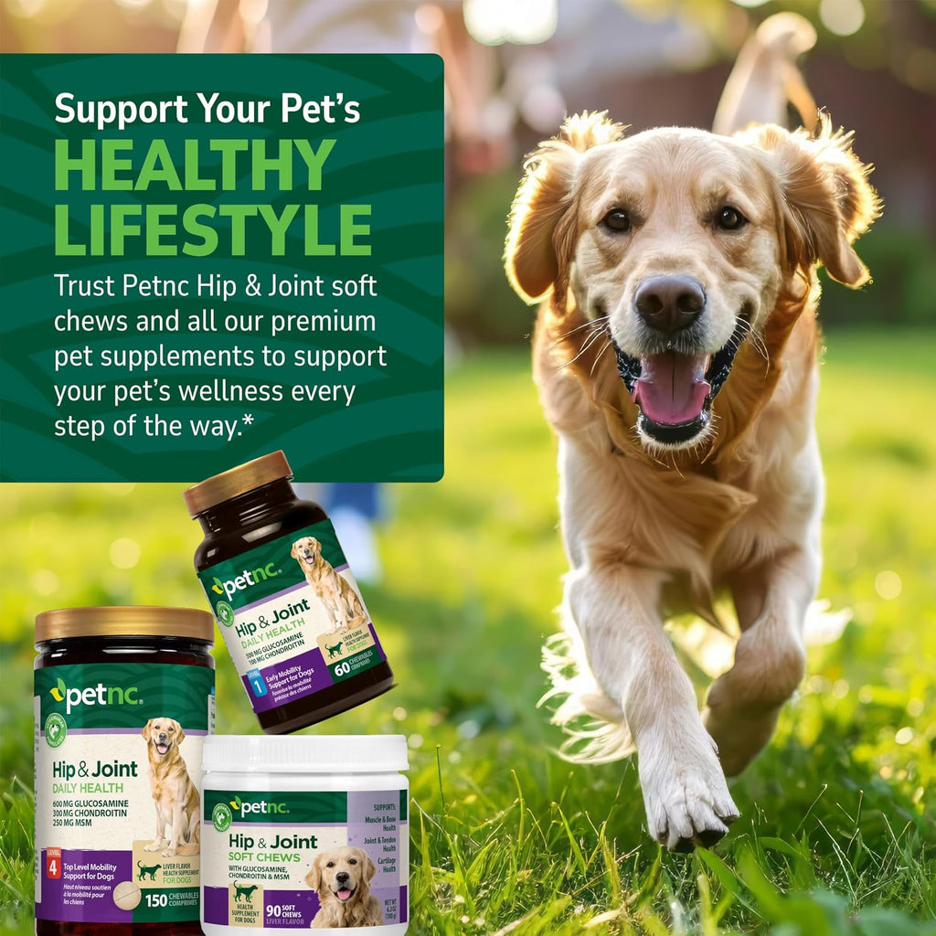 Premium dog health supplements for arthritis and hip support