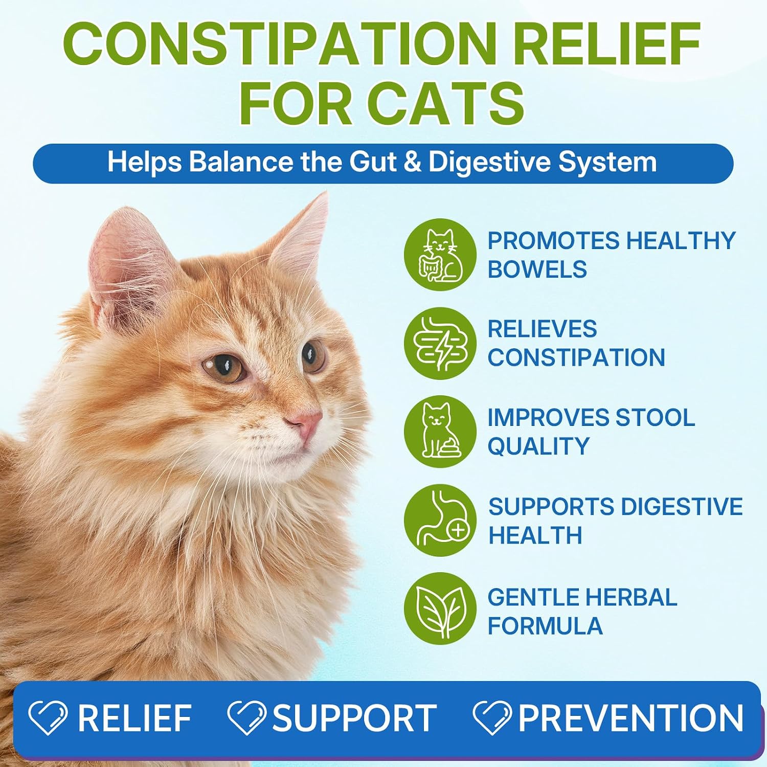 NIFEISHI cat digestive support liquid tincture dropper mechanism details