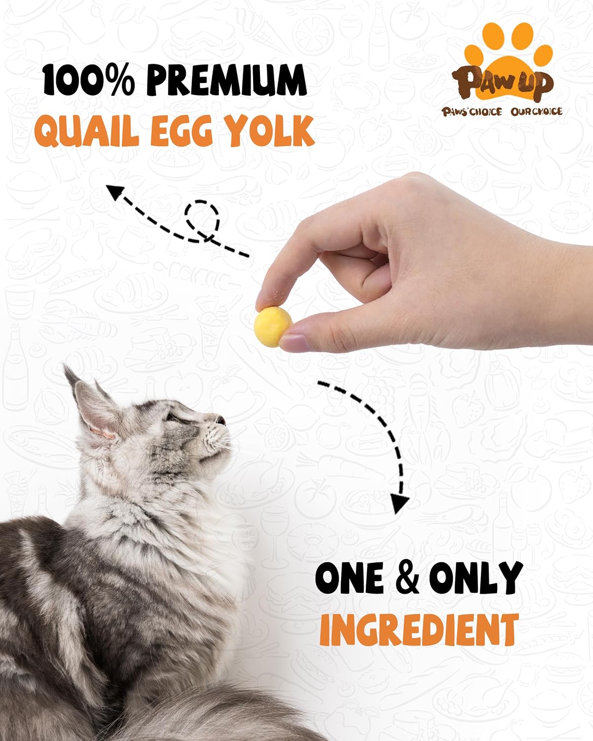 Pawup single ingredient quail egg yolk cat and dog treats texture close up