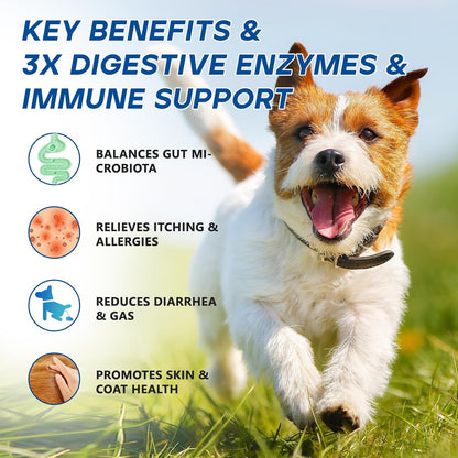 GuruAmi 11 billion CFU probiotics for dogs yeast itch relief