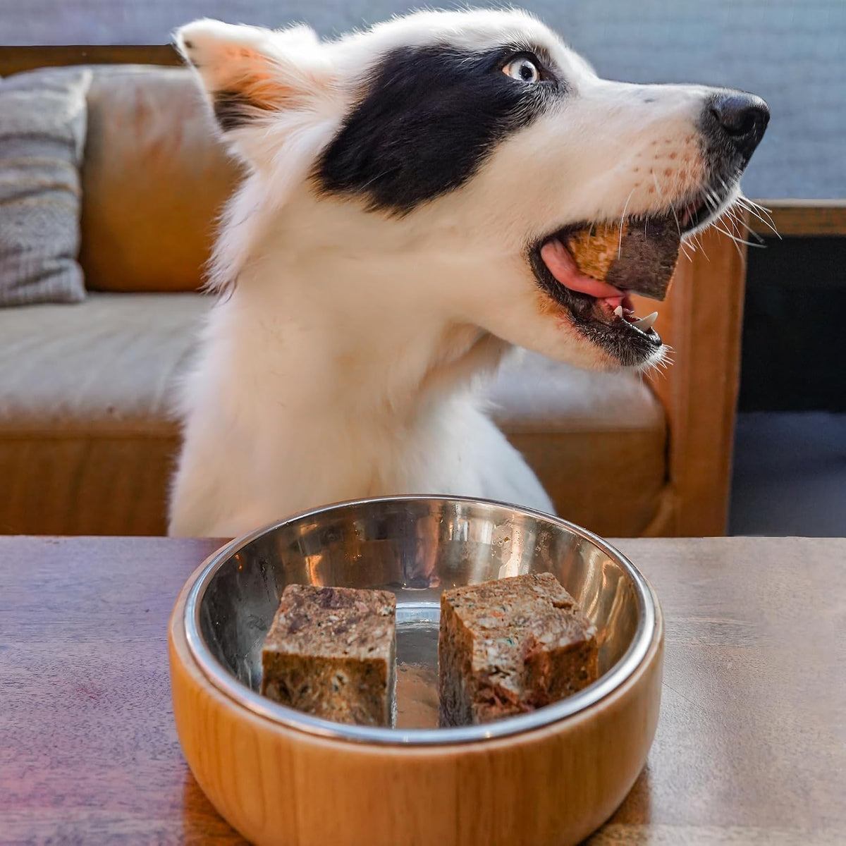 Three ounce raw venison dog food cubes