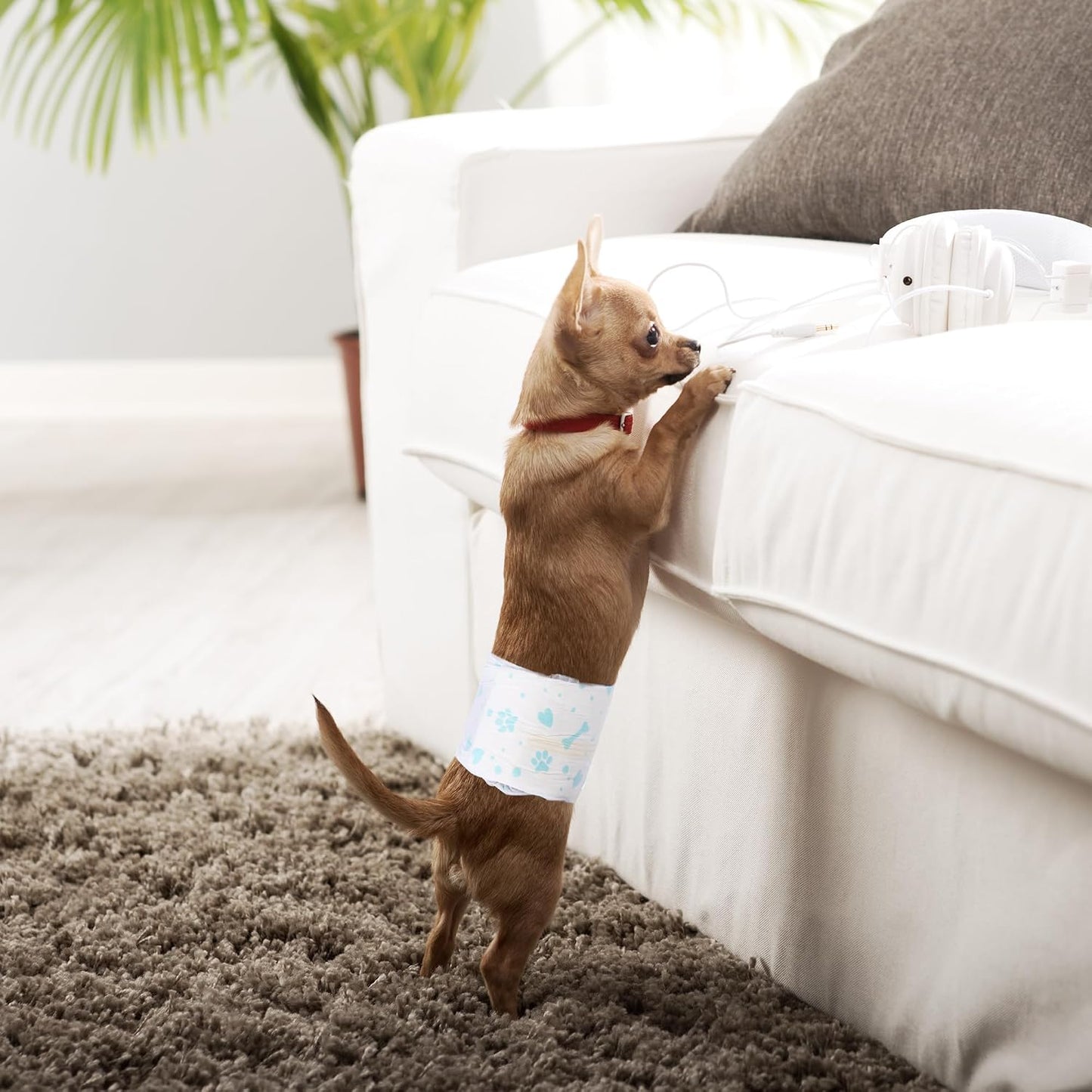 Bestle Male Dog Wrap, Disposable Dog Diapers, 40 Count, XS (Waist 10.6"-16.6"), Wetness Indicator, Ultra Protection, Leak Proof, Super Absorbent, Soft - Image 9