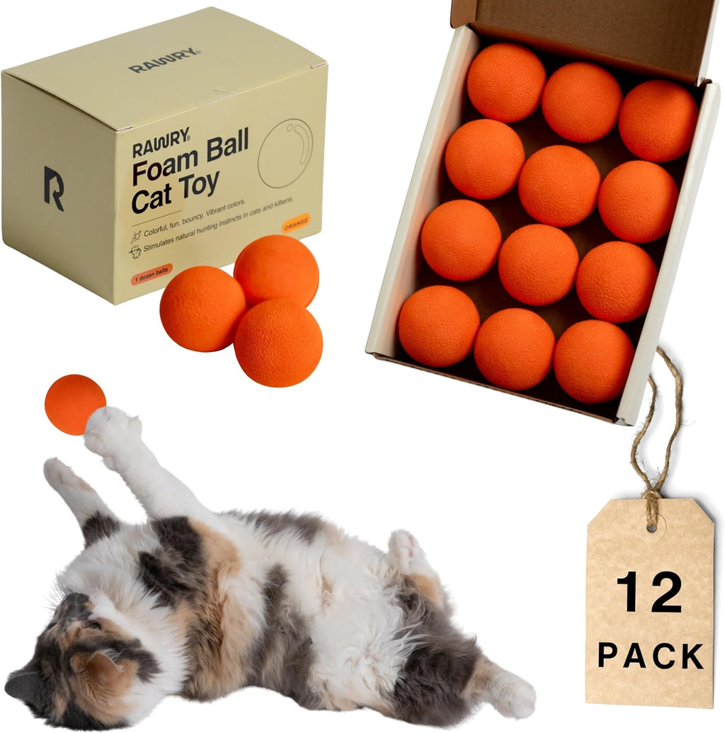 Rawry foam ball cat toy set front view for indoor play