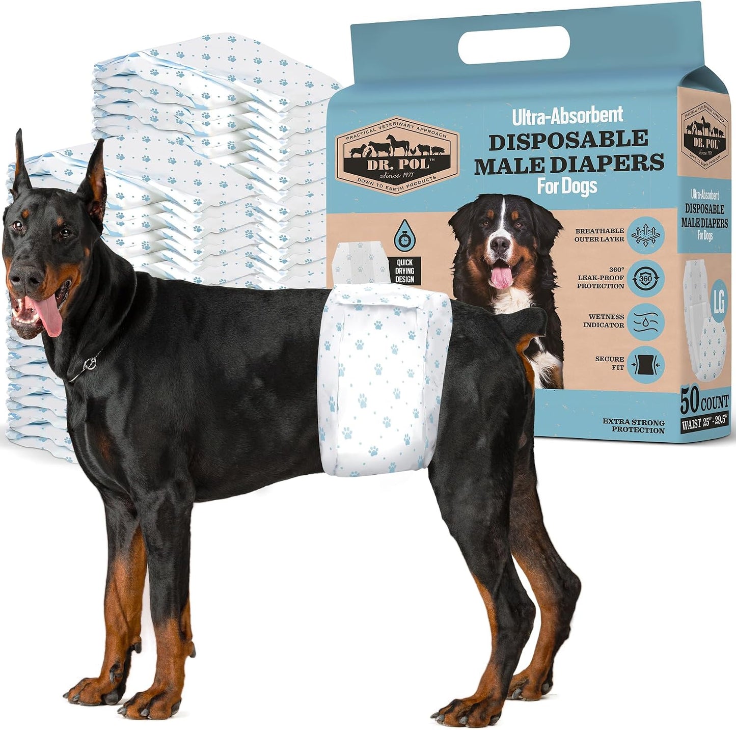 Dr Pol Dog Diapers for Male Dogs | Disposable Pet Diapers with Wetness Indicators | Adjustable Fit | Leak Protection & Super Absorbent | Perfect for Heat Cycles & Training Accidents | Pack of 50 - Image 9