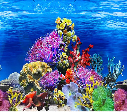 XCNO Fish Backgrounds Paper Double Sides Undersea Aquarium Background Poster Colorful Sea Anemone Fish Tank Background Sticker Decorations 12"x 25" - Image 10