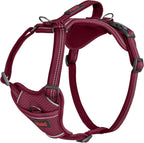 Large breed dog wearing teal Halti anatomy harness outdoors