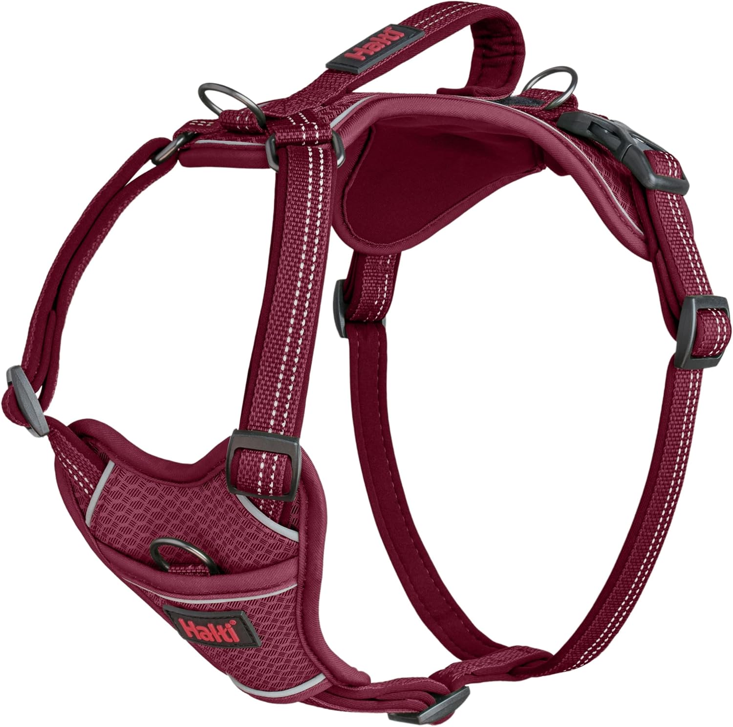 Large breed dog wearing teal Halti anatomy harness outdoors