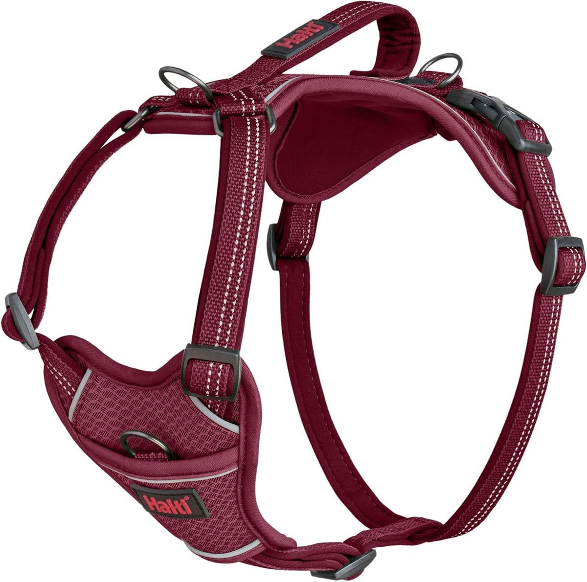 Large breed dog wearing teal Halti anatomy harness outdoors