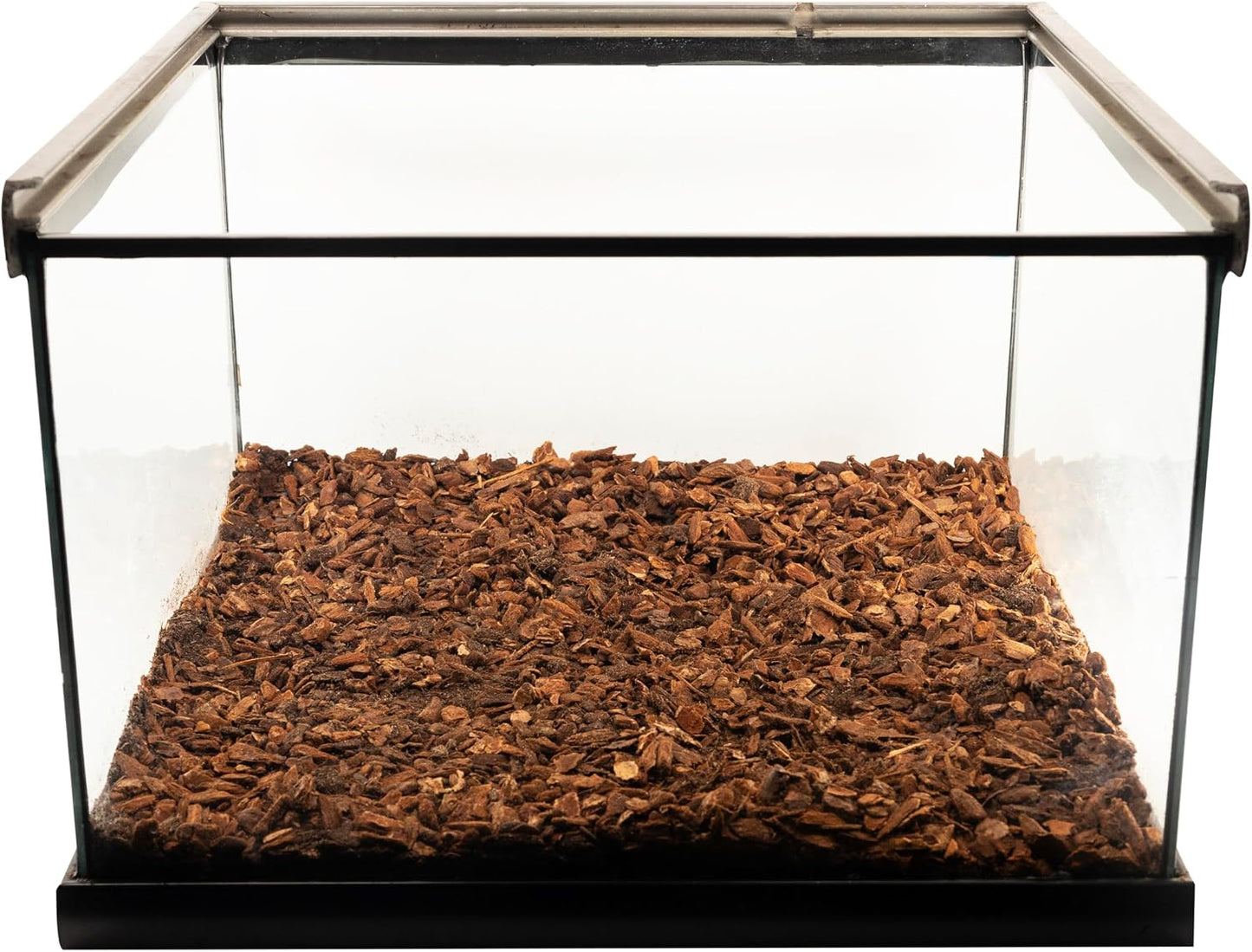 Close up look of triple cleaned small interlocking fir tree bark chips for terrariums