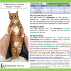 Back label of Eventually Young kidney support showing ingredients