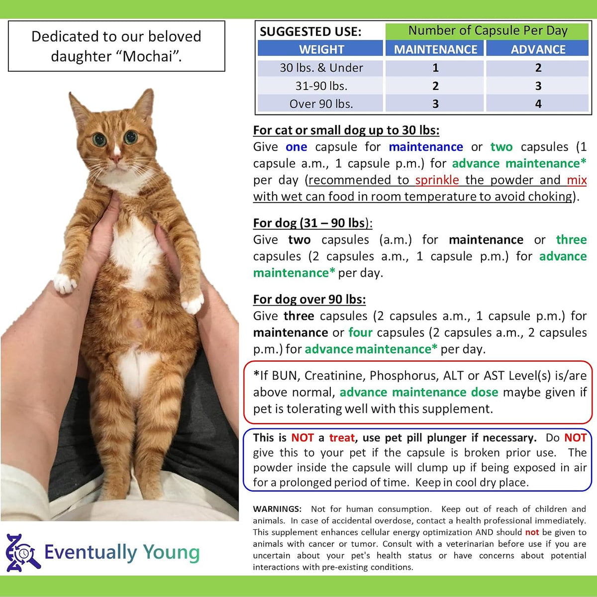 Back label of Eventually Young kidney support showing ingredients