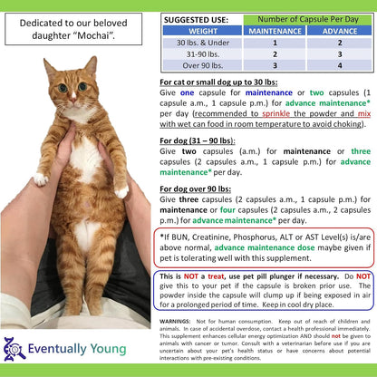 Back label of Eventually Young kidney support showing ingredients