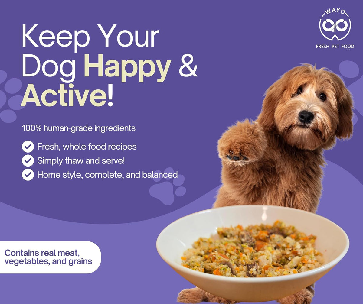 Wayo beef recipe dog food nutritional benefits label