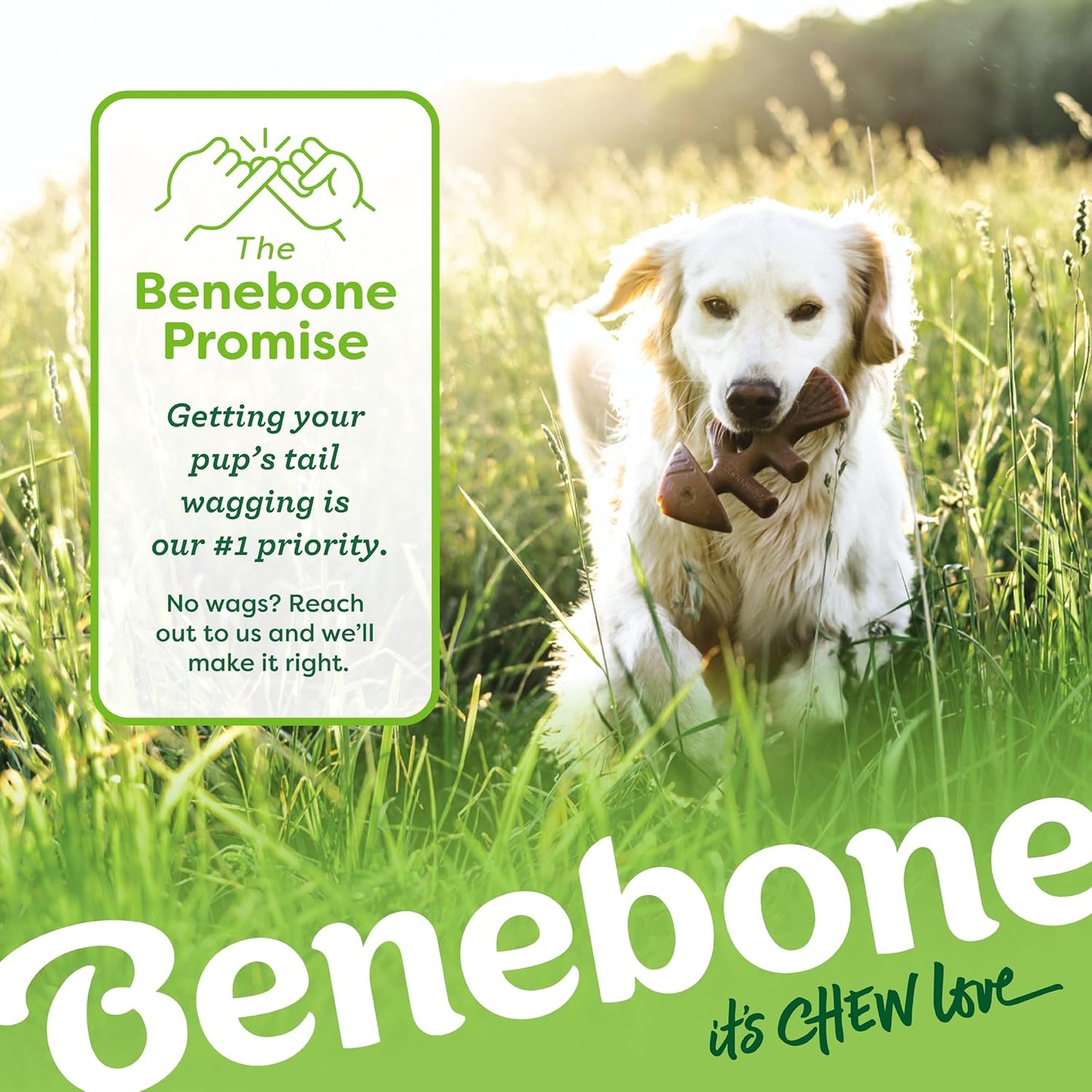 Benebone Medium 4-Pack Dog Toys for Aggressive Chewers - Durable Dog Bones, Made in USA - Dog Toys for Medium Dogs Under 60 lbs - Image 7