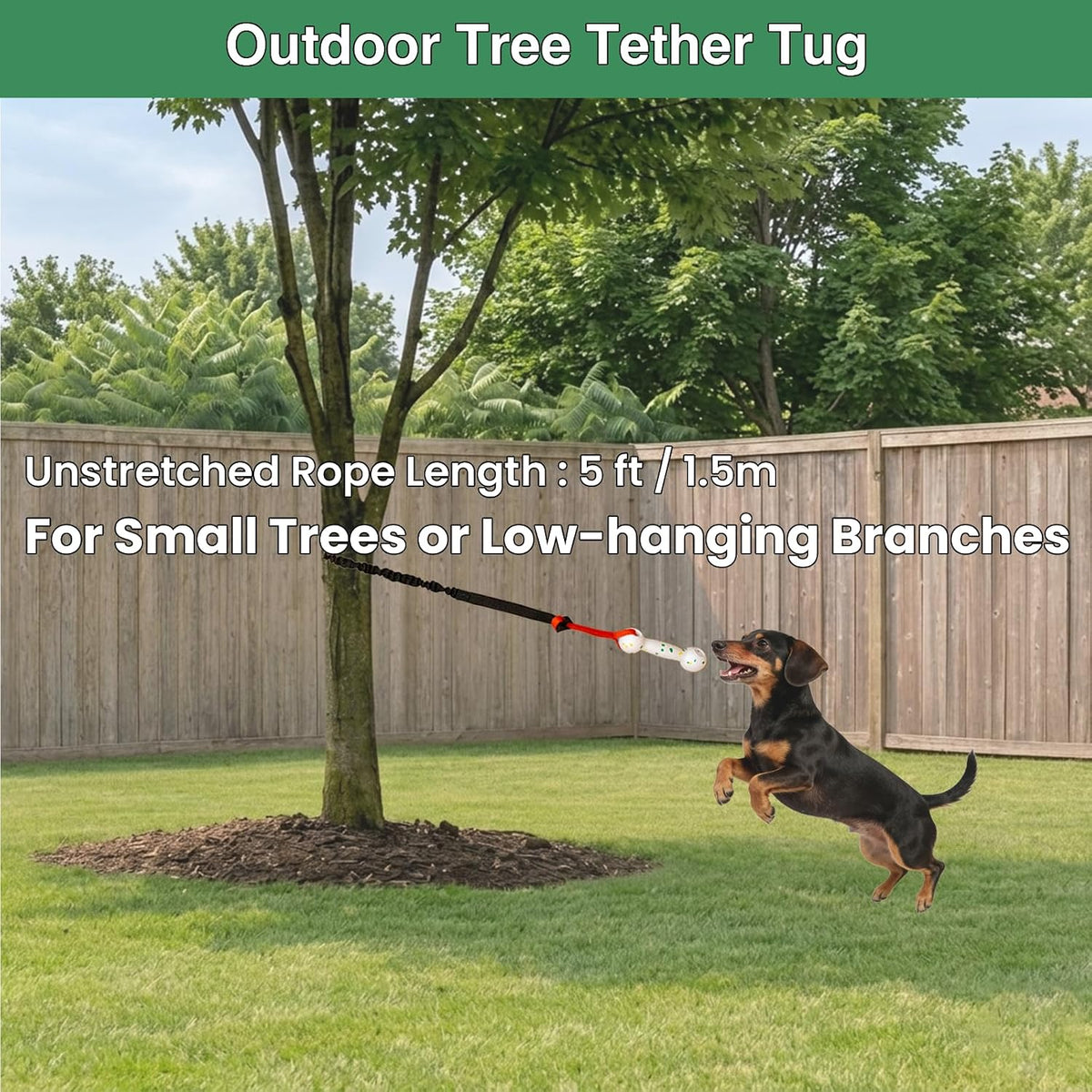 Indoor door pull tether dog toy attachment setup for solo pet training and play