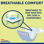 Six hour leak protection disposable dog diapers package layout
