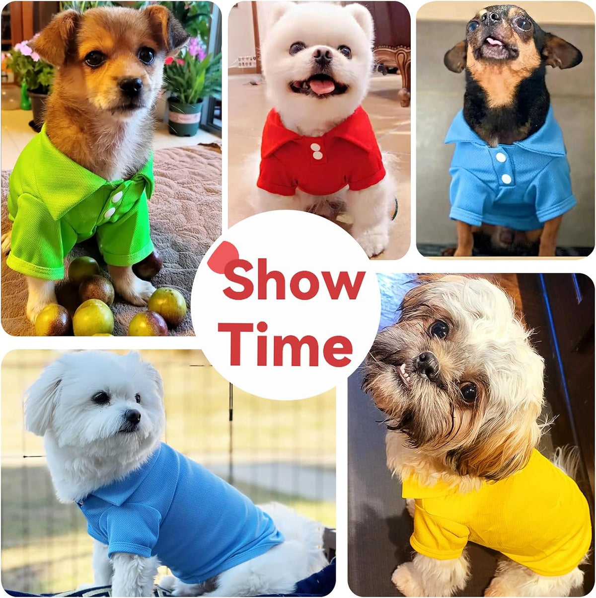 Size chart for Doggyzstyle pet apparel